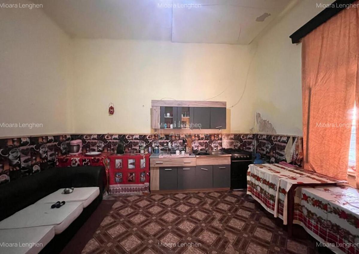 Sacu, Casa 426 Mp. Construiti, 6.500 Mp. Teren - 4