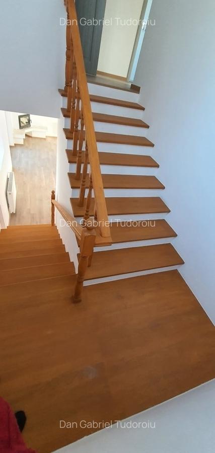 BONUS electrocasnice bucatarie: Vila individuala, Semineu, langa lacul Pasarea - 6