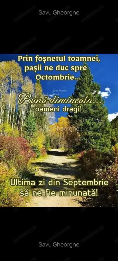 Vind construc?ie noua, 19 garsoniere,camere pentru inchiriat. - 3