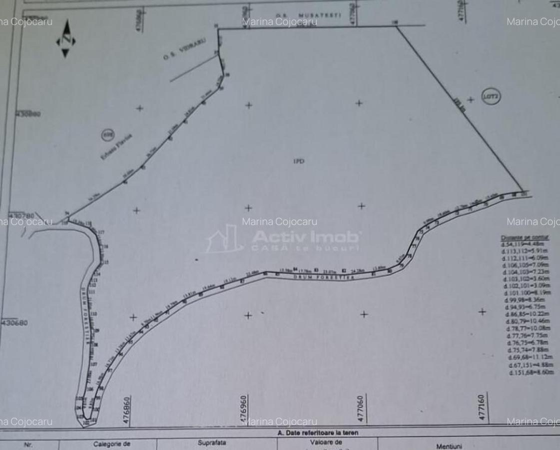 Teren 7 ha, Lac Vidraru, Podis Molivis - 8