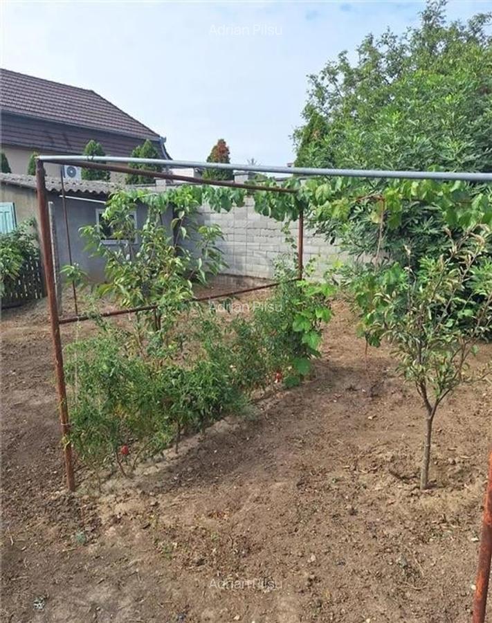 Apartament 1 camera-Centrala-Elisabetin-Curte - 4 Apartament 1 camera-Centrala-Elisabetin-Curte - 4