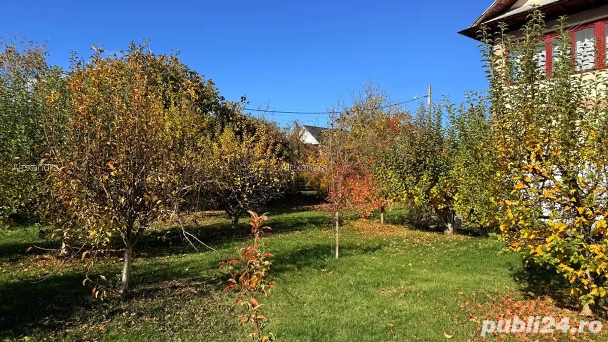 Casa de vanzare curtea de arges - 4