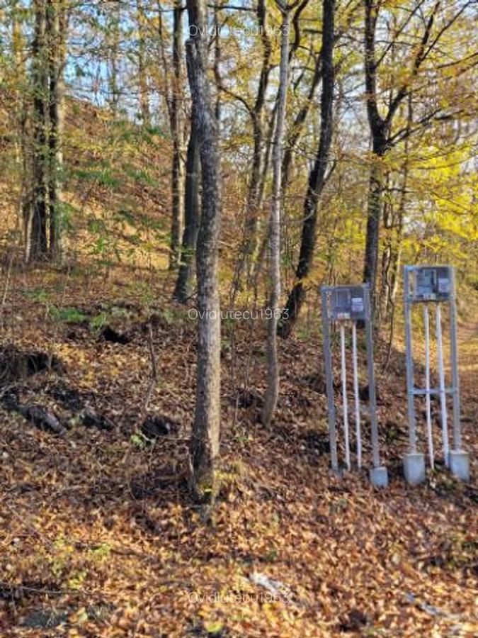 Vand teren cu padure la 5 km de Curtea de Arges,zona deal-munte,zona superba - 5