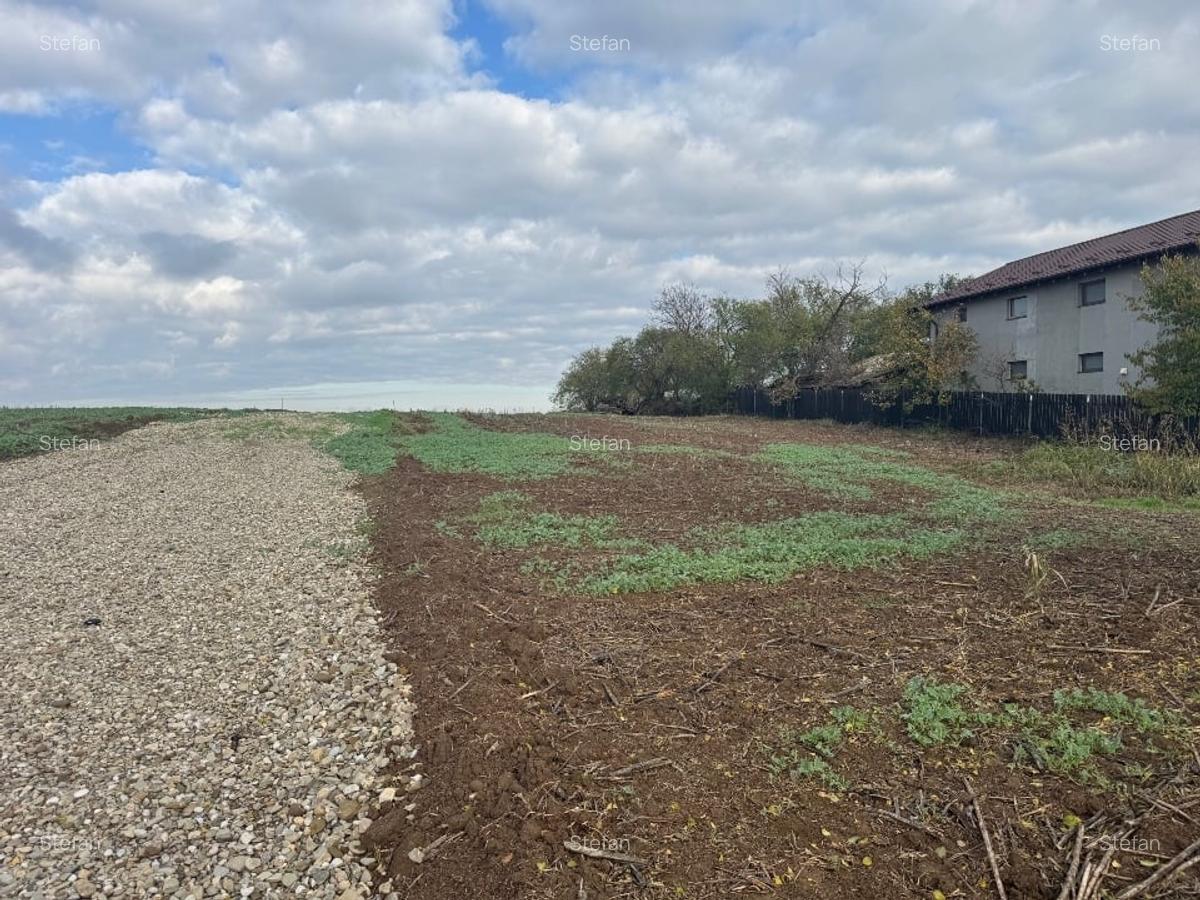 Piscu, Ciolpani, teren intravilan 1000 mp, str. Campului,aproape Muzeu, 29 eur - 7