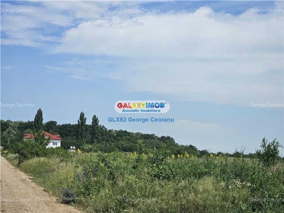 Vanzare teren 3400mp Otopeni Drumul Garii Balotesti - 3
