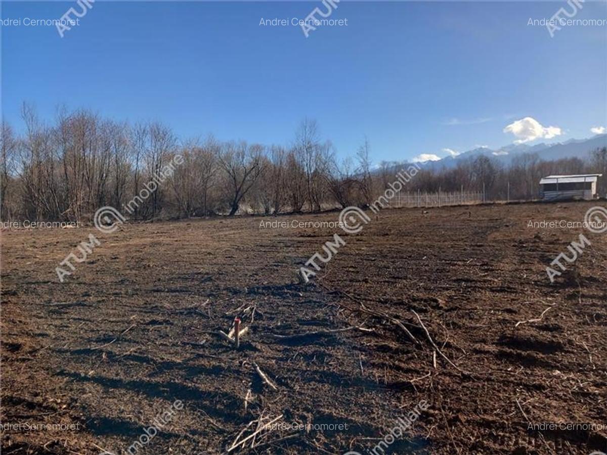 Teren intravilan de vanzare 997 mp in Avrig zona Valea Avrigului - 4
