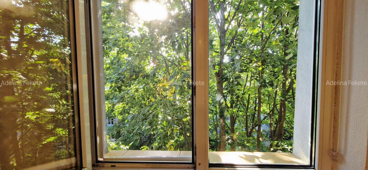 Apartament 2 camere, zona Șagului - 4