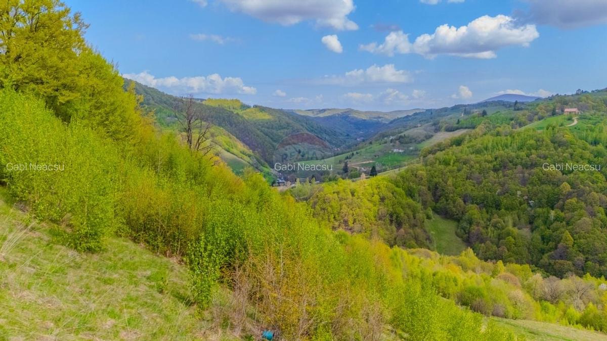Teren 11,342 mp Poiana Marului /Extravilan/Oportunitate investitie - 10