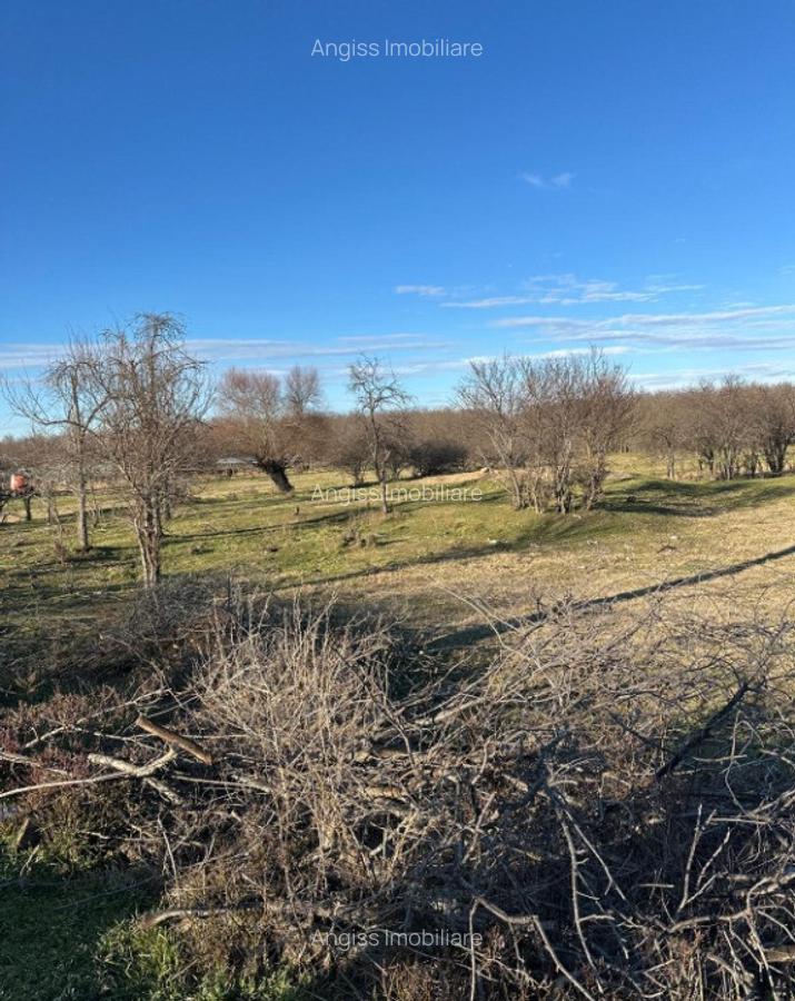 Teren- intravilan in DELTA- loc BALTENII DE JOS - 7