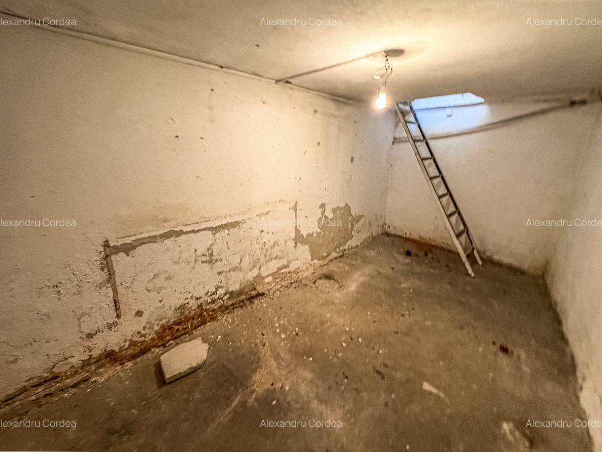 Piata Victoriei - Buzesti, str. Occidentului, Spatiu comercial de vanzare - 7