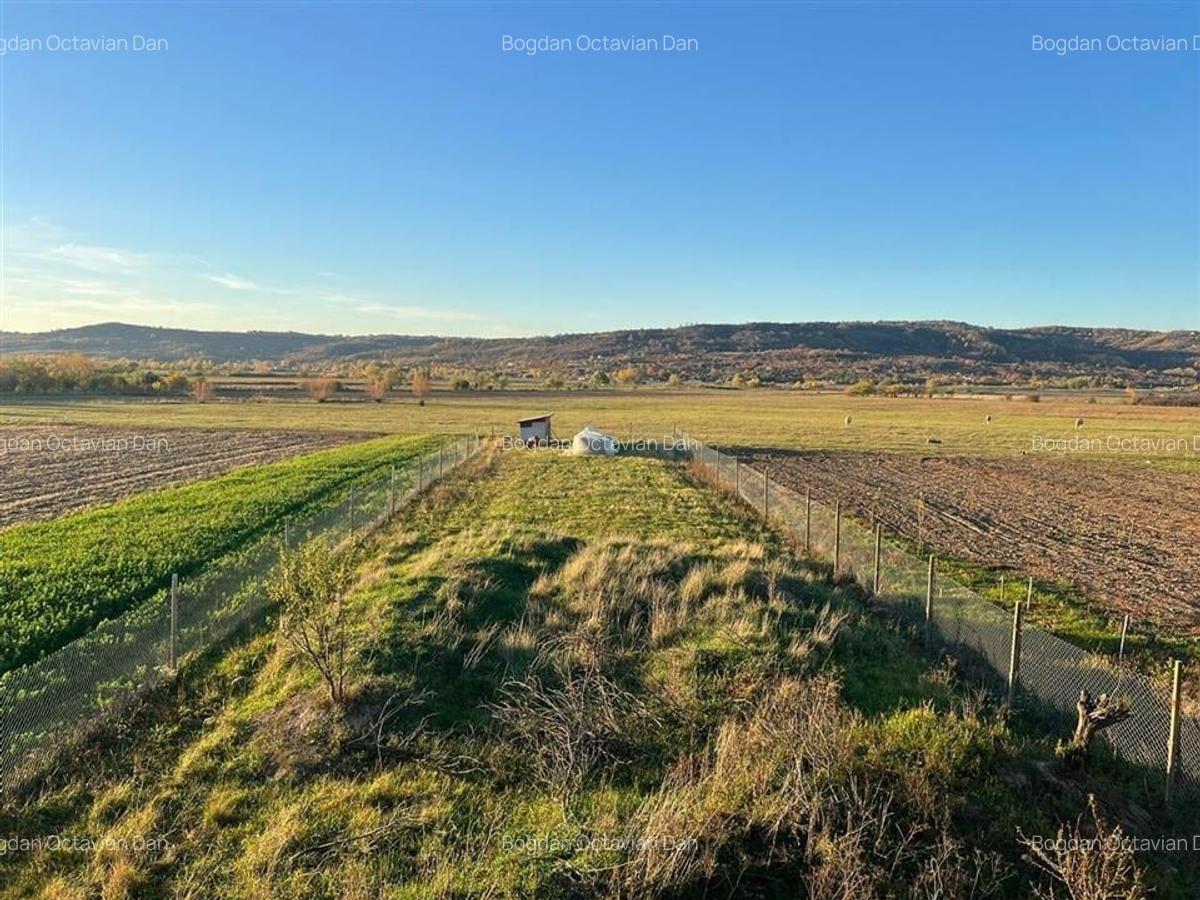 RECO Casa Osorhei zona deosebita - 5