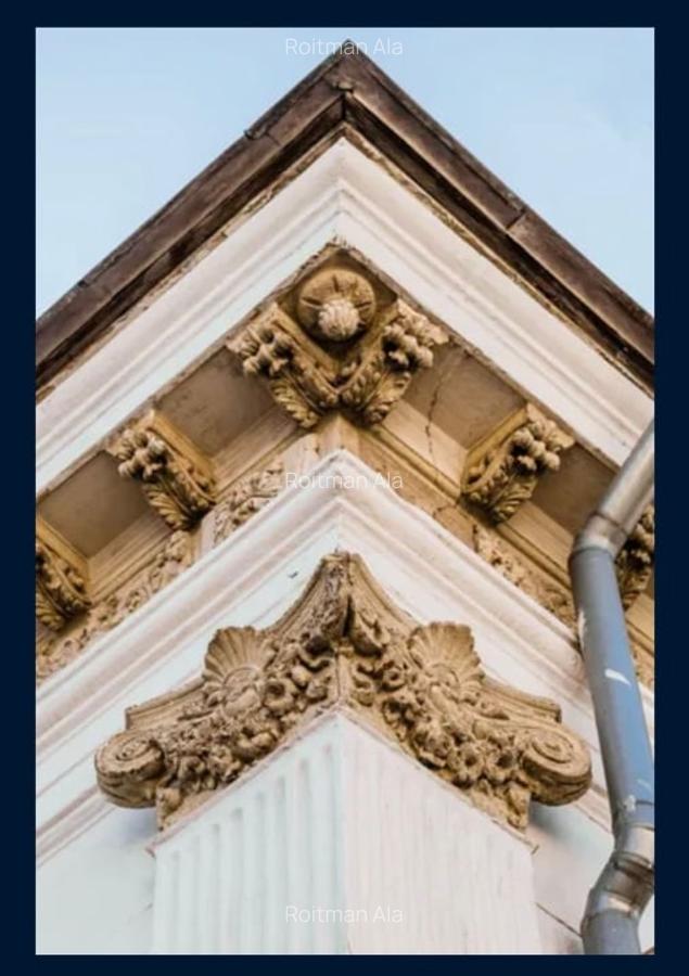 Vila istorica de patrimoniu - 160 mp/teren 262 mp - 11