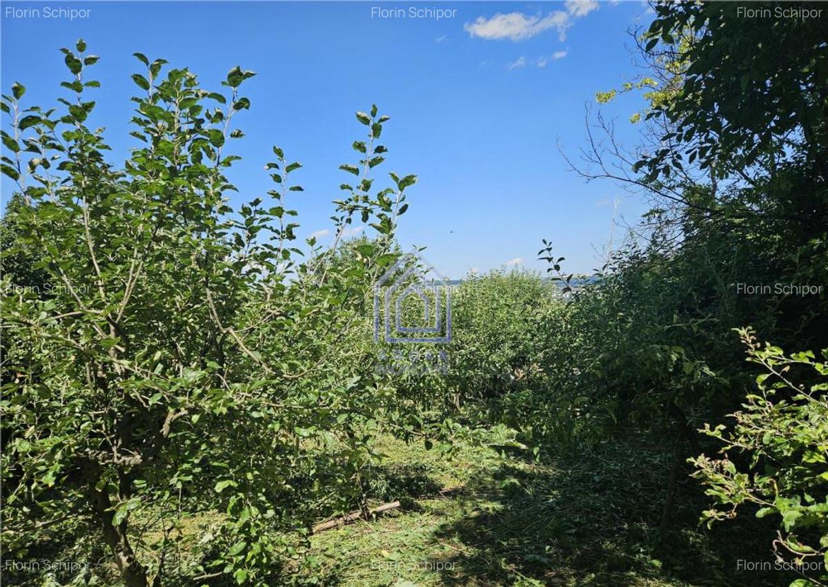 Teren , strada M. Sadoveanu, 7 ari. - 5