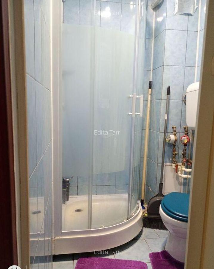 Apartament cu 1 camera de vanzare in zona Rogerius, Oradea - 6