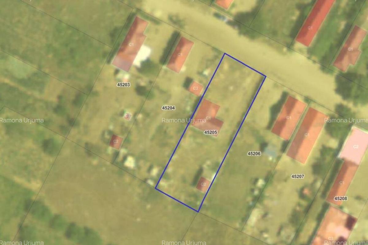 Casa si teren-Ciupercenii Noi, jud Dolj; - 6
