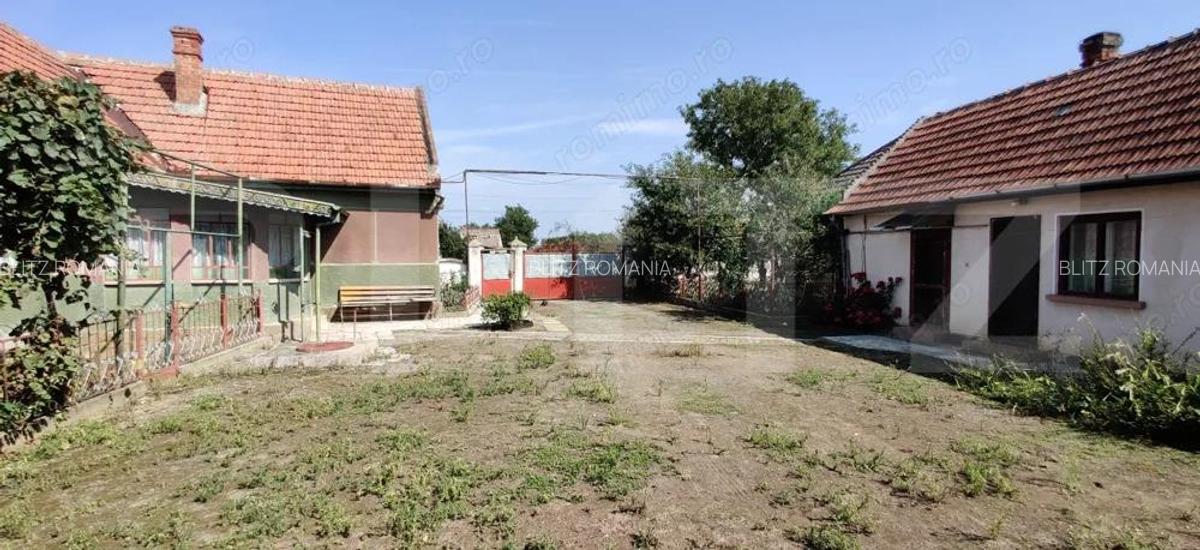 Casa mare cu gospodarie completa Belin?, jude?ul Timi? teren 4.900 mp - 3