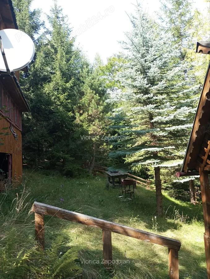 Vand cabana intr-un loc de poveste, in sta?iunea Muntele Bai?orii, inainte de cabana Militarilor. - 9