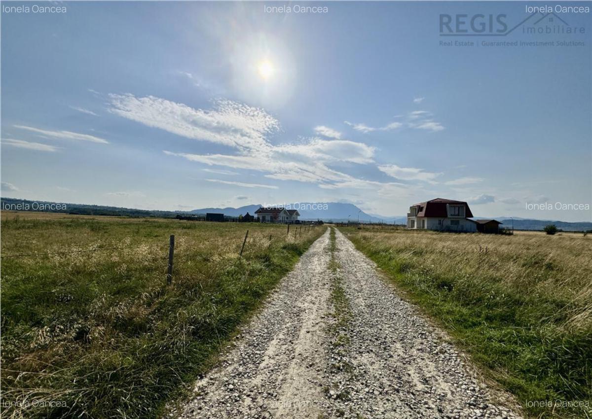 Teren, intravilan, locatie superba - 3