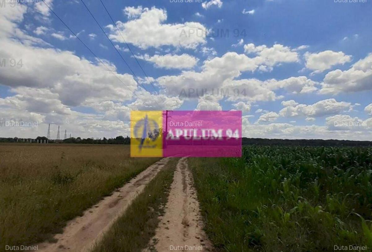 Teren 715mp in Snagov langa Equestria - 3