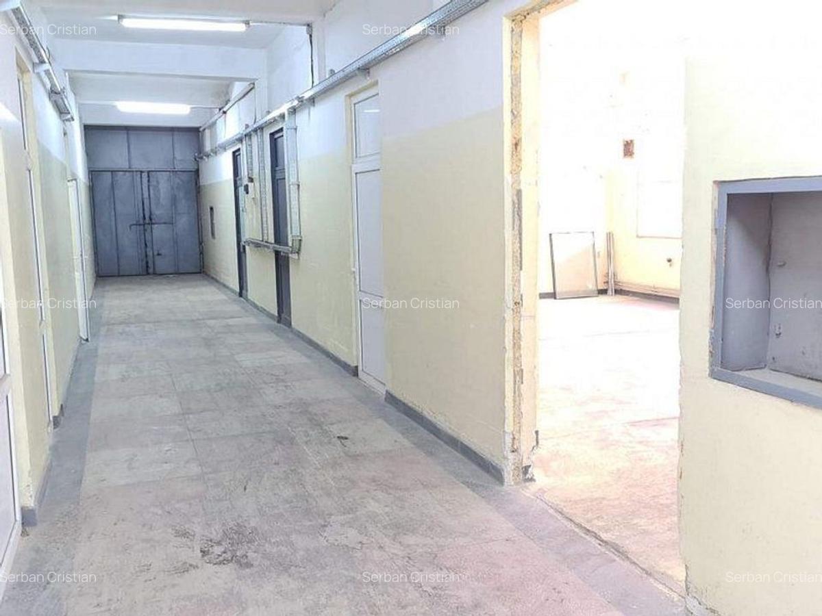 Drumul Intre Tarlale spatiu productie 400-1500 mp - 9