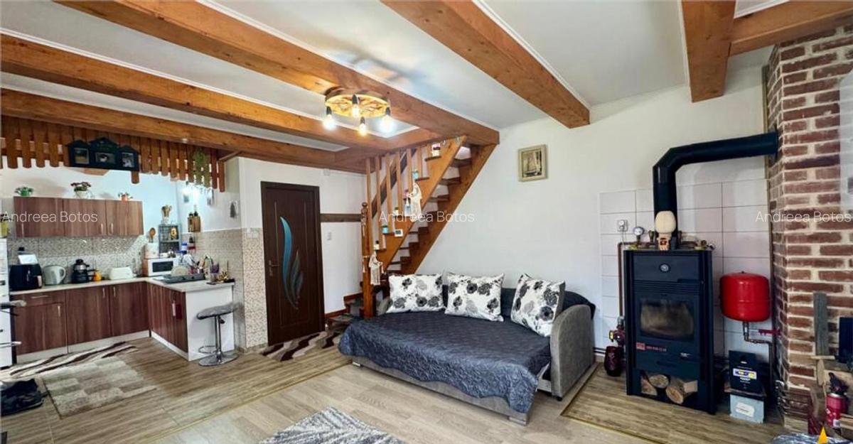 FILM3D!Cocheta casuta, mobilata, accesorizata, garaj, gradin - 14