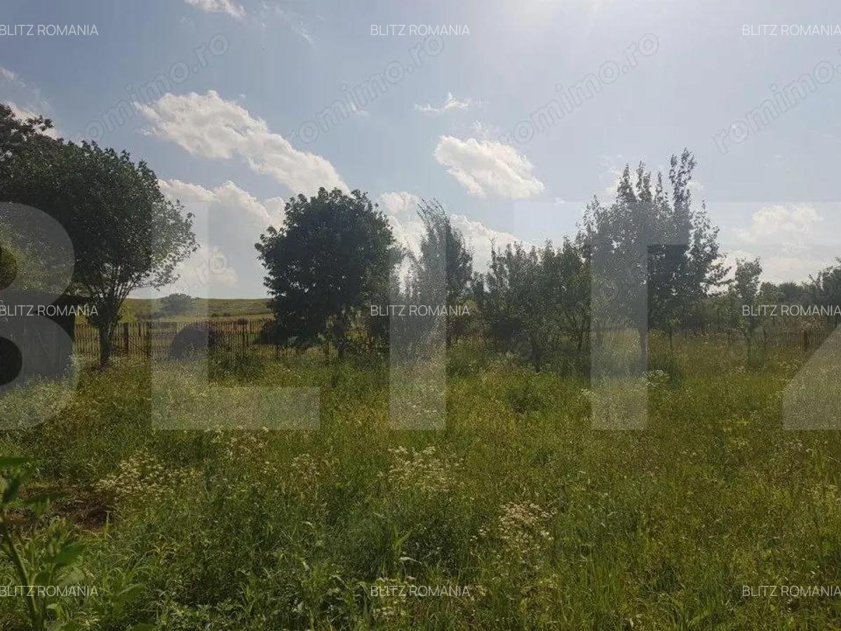 Teren intravilan Campenesti, 11600 mp, 43 ml front, pentru ansamblu de case! - 3