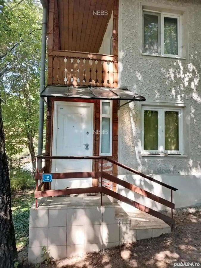 Vila de vacan?a de vanzare in Baile Balvanyos - 4
