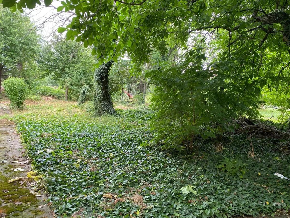 Proprietar, vand casa in Cenei, central - 2