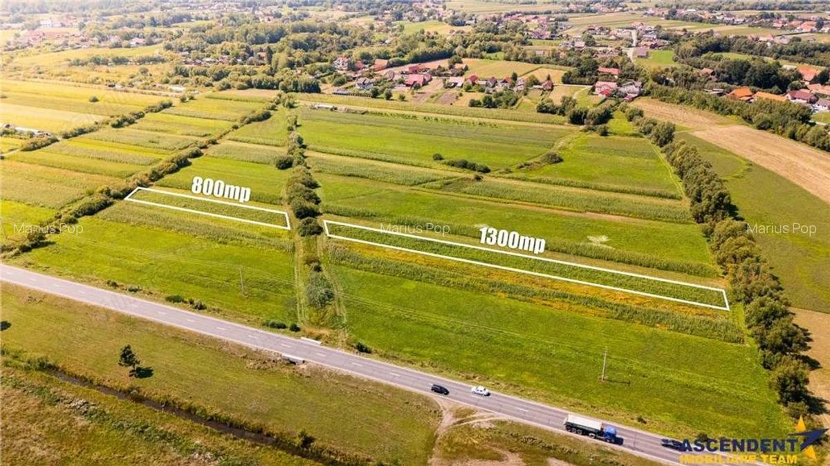 Teren extravilan Lunca Calnicului langa E574 - 20