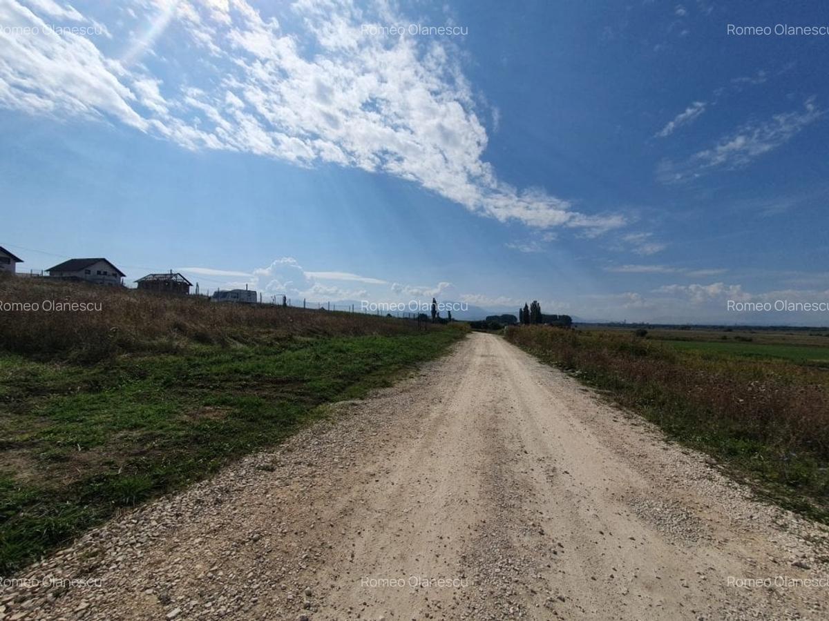 Teren Construcții intravilan de 500 mp, în Sânpetru - 1