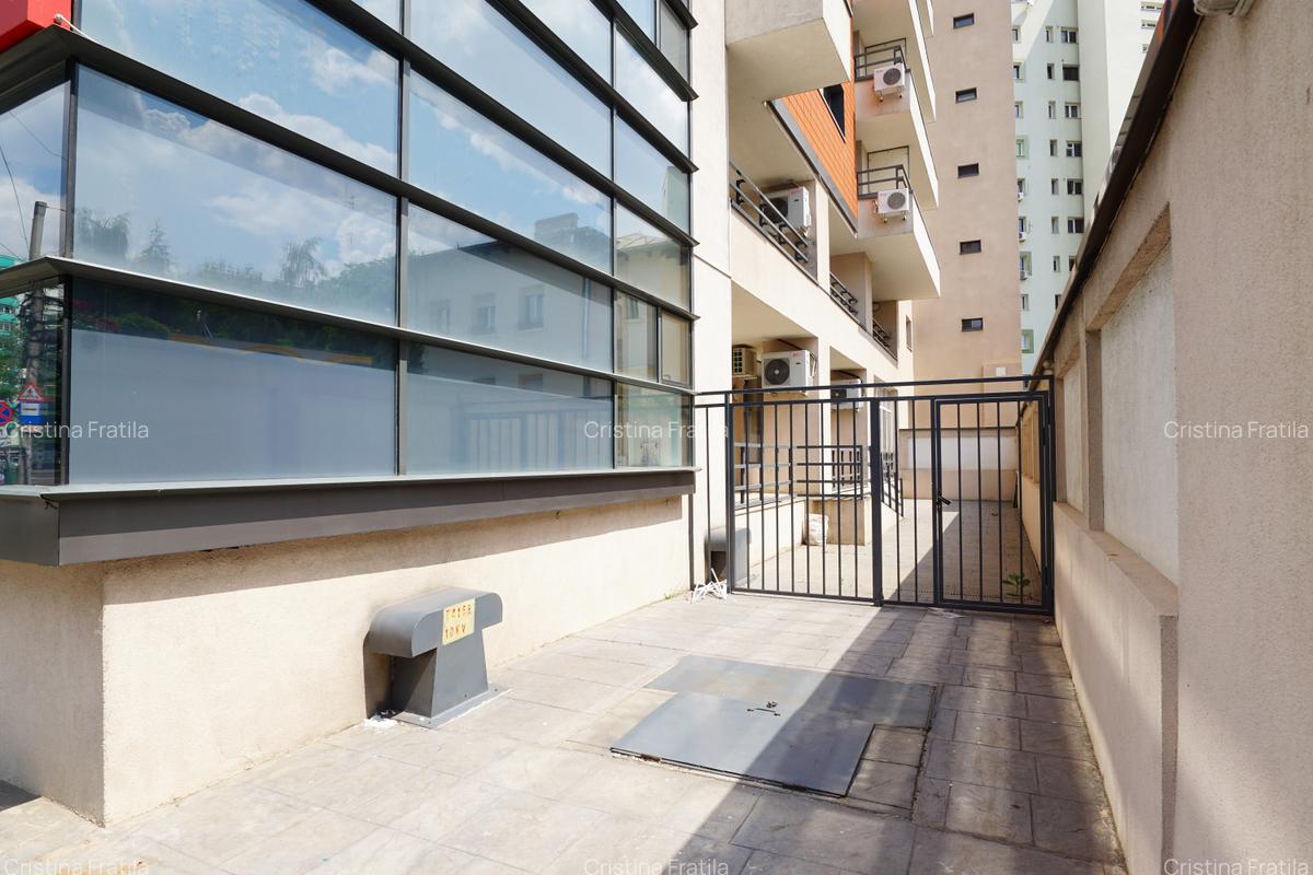 Spatiu pentru clinica - Titulescu /Banu Manta - 1