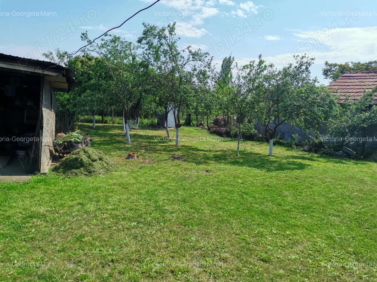 Teren cu casa de vanzare - 7