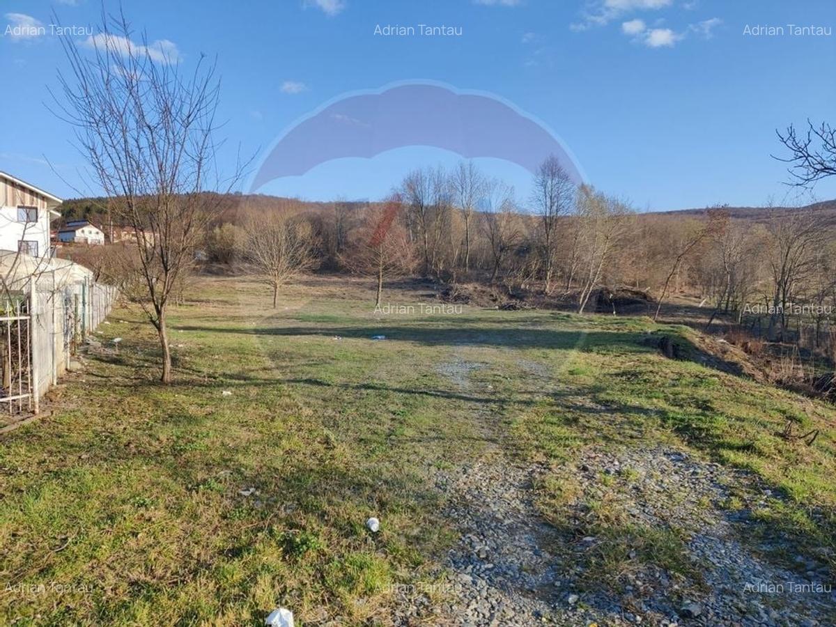Teren de vanzare in Faget! 3600 MP! PUZ Aprobat! - 4