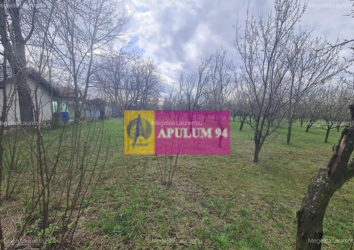 Teren de vanzare in Brebu - Zona Brebu Megiesesc - 9