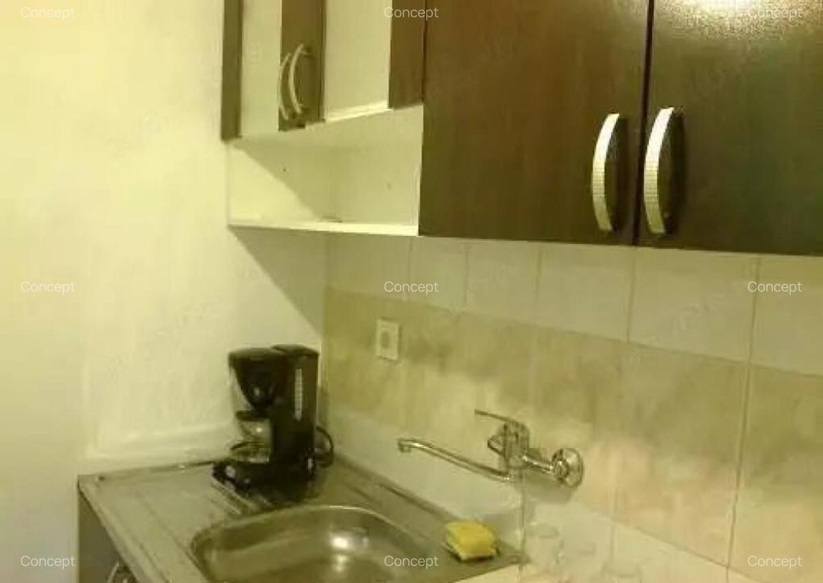 Garsoniera in zona Facultatii de Drept, Izvor - 3