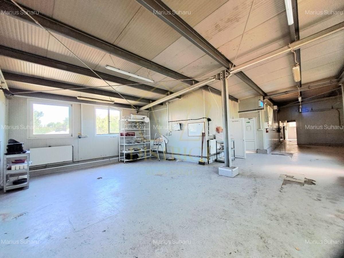 Hala de depozitare sau productie 615 mp I Mehala - 1