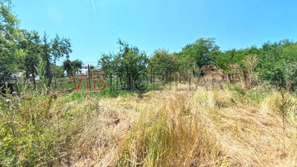 Corbeanca - Tamasi - str Trandafirului - teren 523 mp cu deschidere 13,50 mp - 2