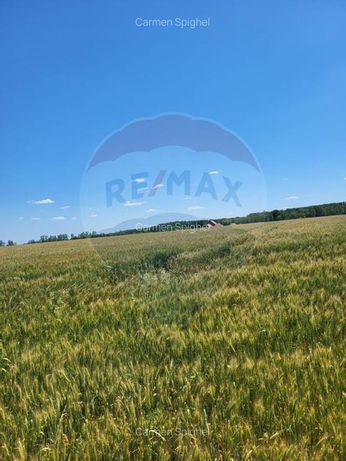 Teren intravilan 30,000mp Corbeanca P+1+E2 - 3