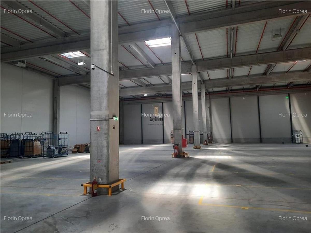 Spatiu Industrial - 4000 mp - Logistica - Productie - Depozitare - Distributie - 22