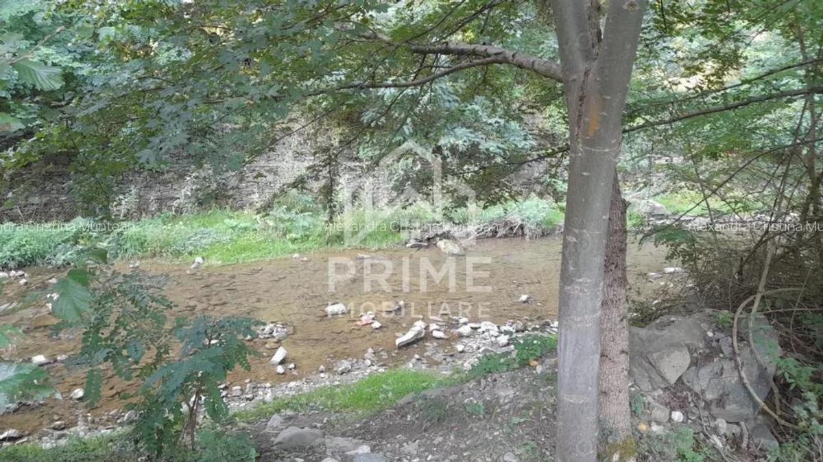 Teren intravilan 1240 mp | UTILITATI | Fa?a Pietrii | aproape Transapuseana | - 4