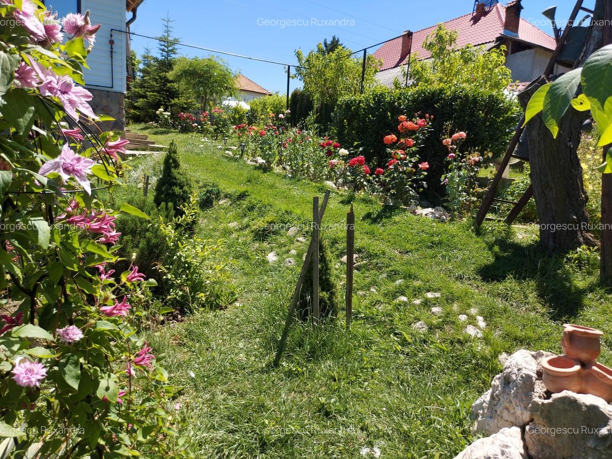 Casa individaual renovata, curte amenjata Boteni de Arges - 17