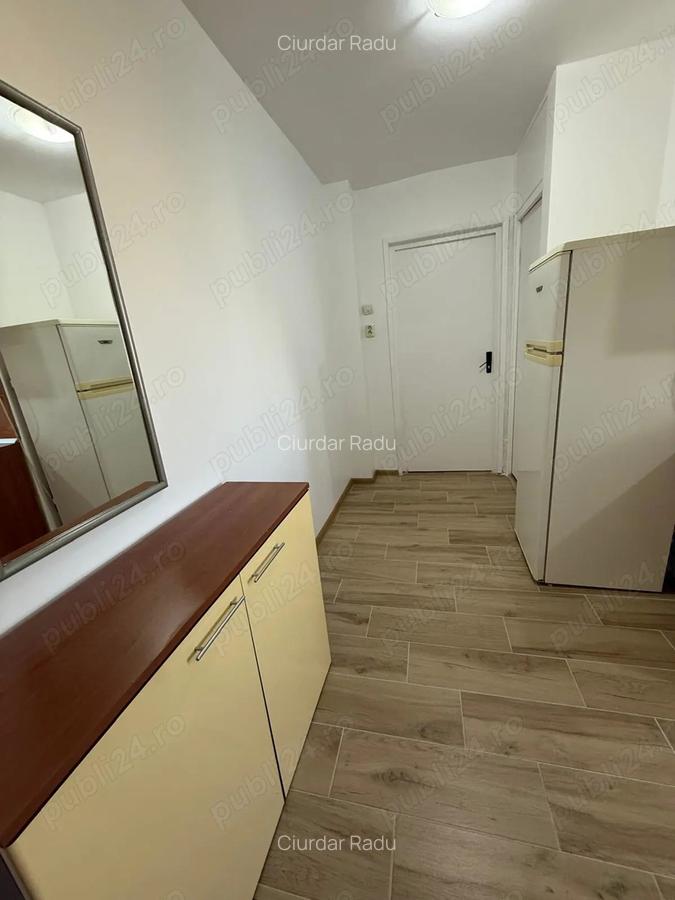 Apartament o camera Lipovei - 2