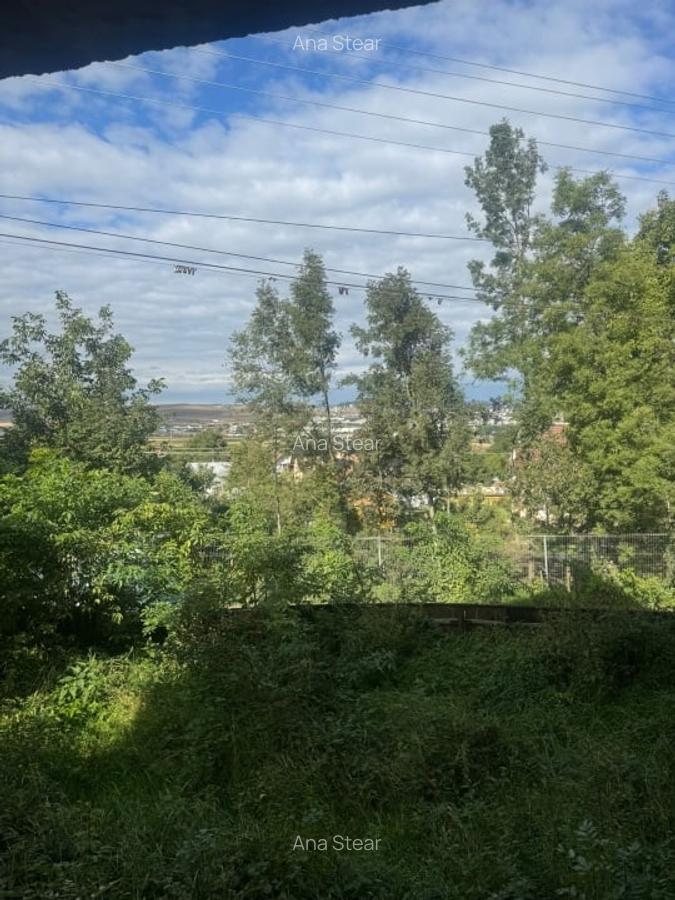 Vanzare casa la rosu Sfantu Ilie langa Caminul Cultural - 300 mp teren! - 19