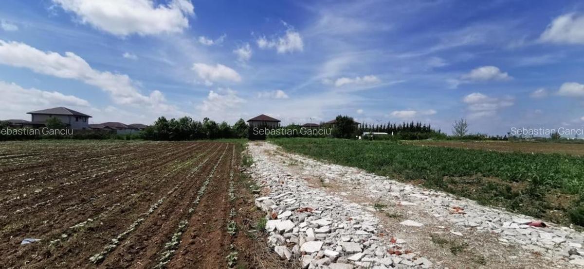 Balotesti 2 loturi de 1400mp, 2 loturi a cate 750mp - 4