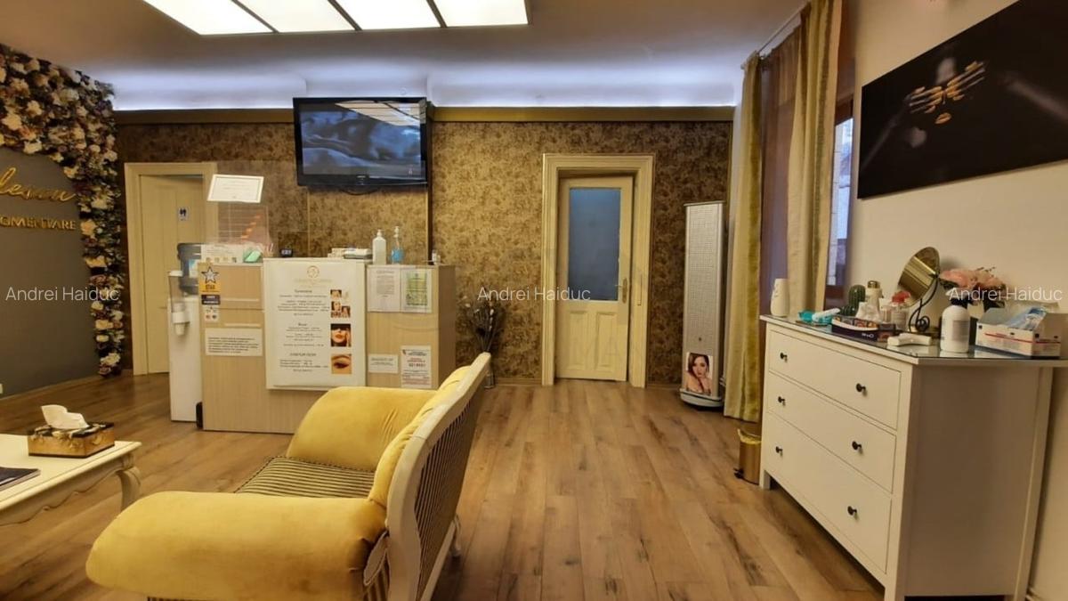 REV0017192 Piata Victoriei - VIla interbelica cu gradina - 2