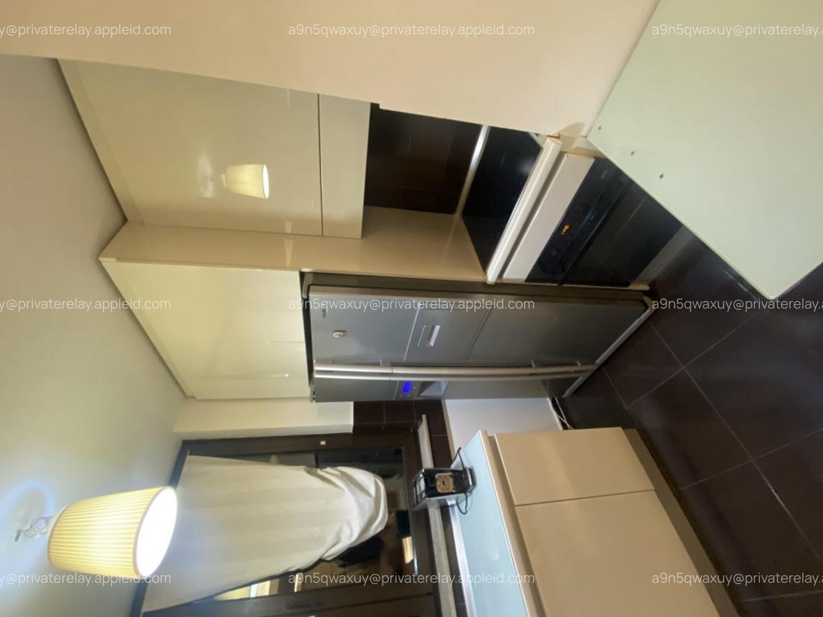 2 camere North Area Lake View Herastrau Aviatiei/Bordei - 6