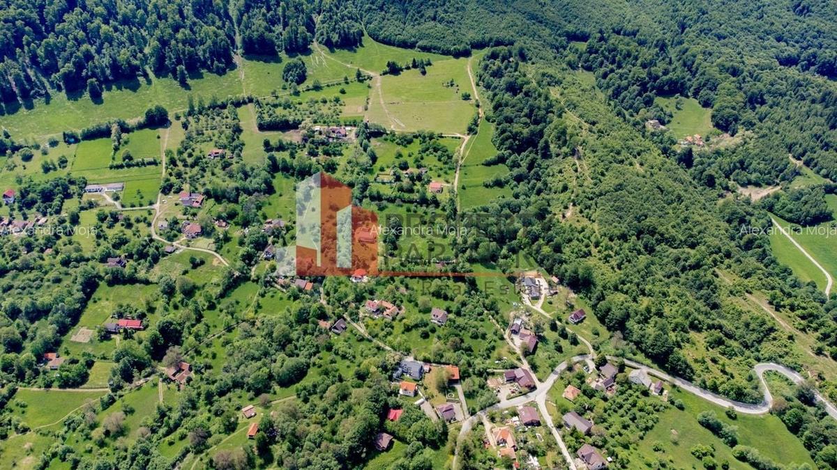 Teren Construcții intravilan de 6273 mp, în Bran - 9