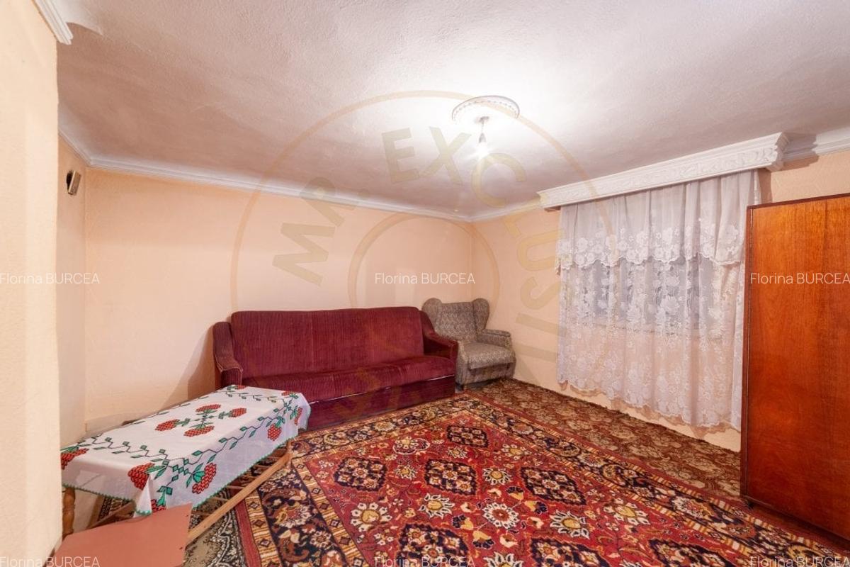 Schimb casa P+1 cu teren generos in Bradu cu apartament in Pitesti - 7