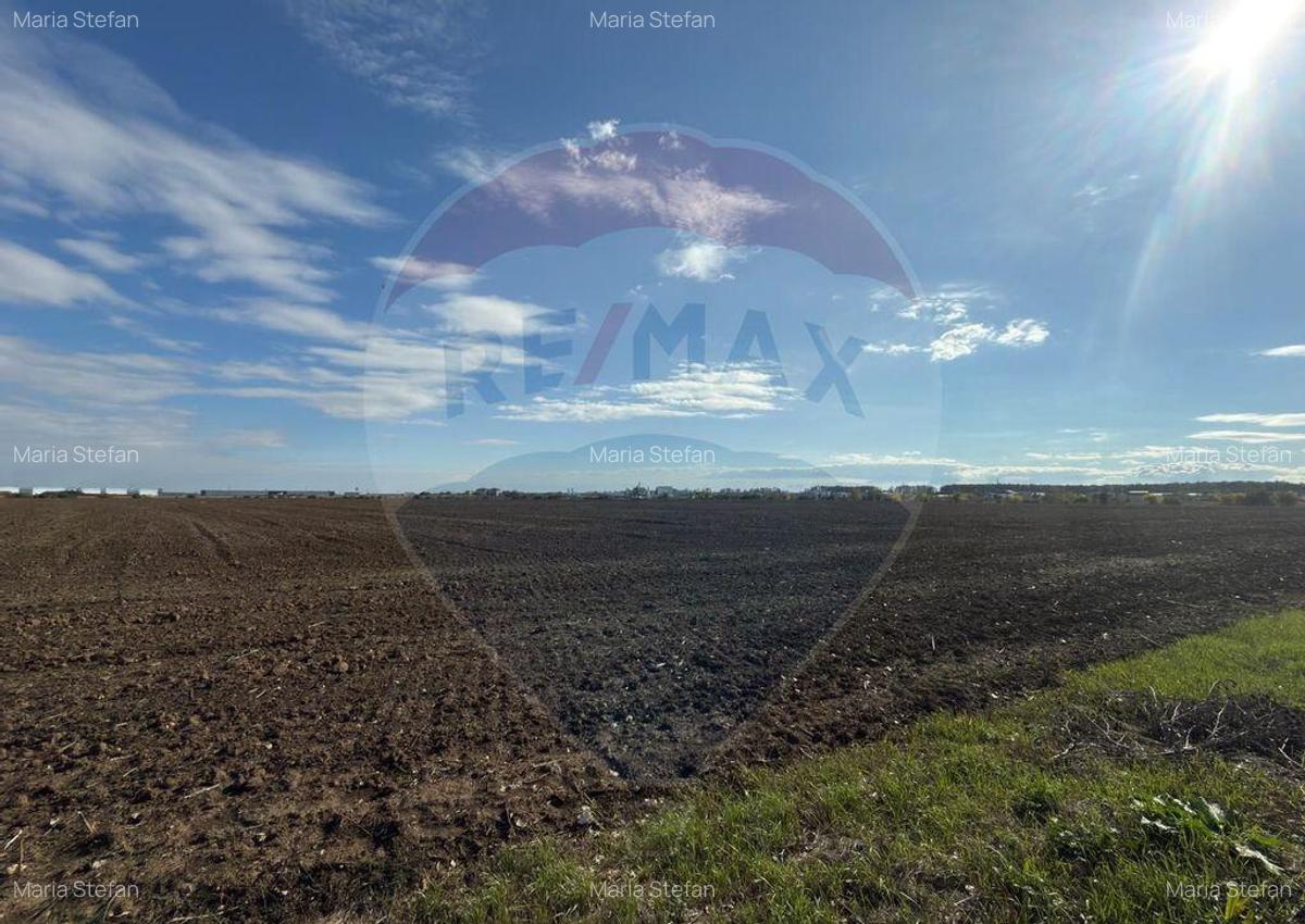 VANZARE Teren intravilan industrial BUFTEA/Strada Milano/... - 7