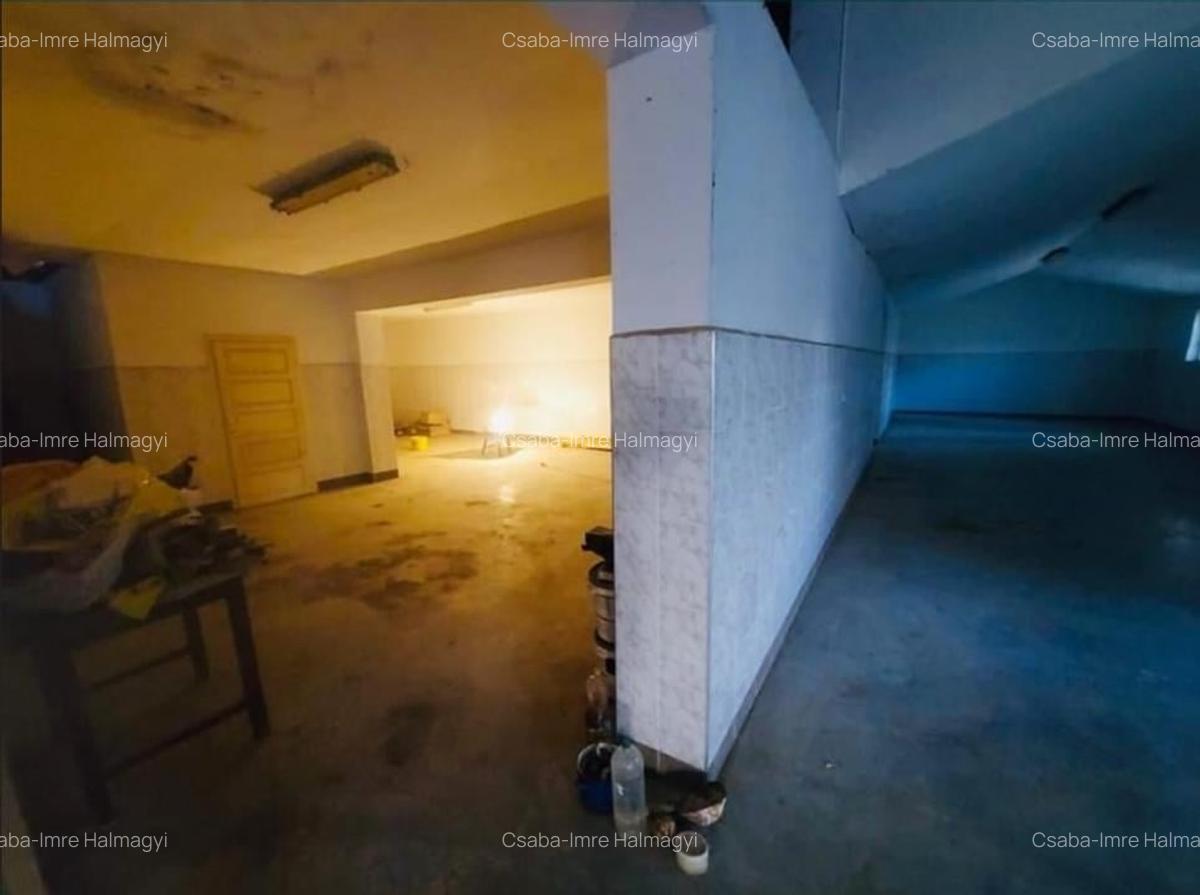 Hala de 800 mp cu teren de 1600 mp in Ineu de Cris Bihor. - 5